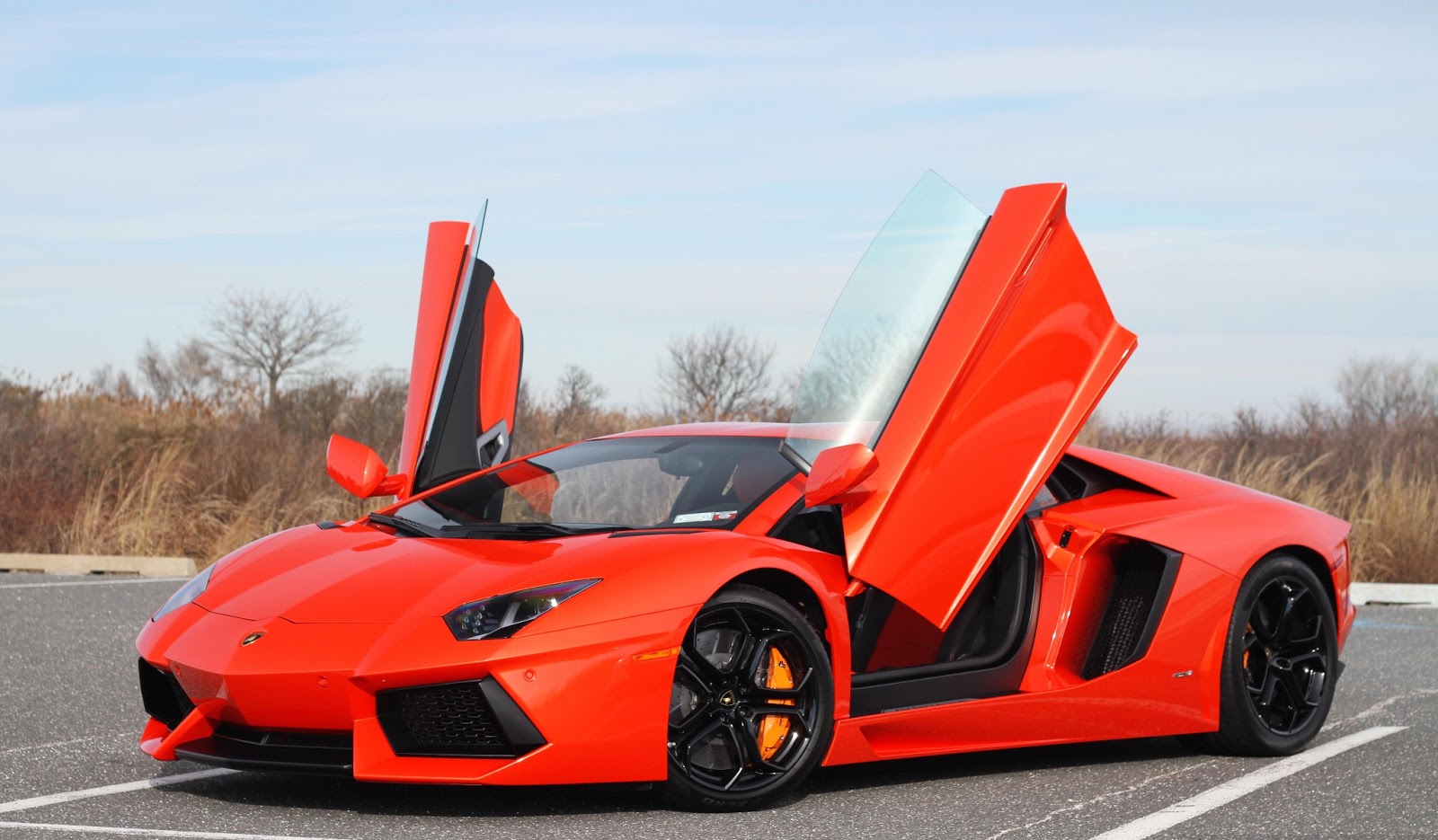 Lamborghini_Aventador.jpg